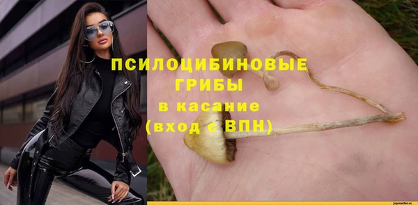 прущая мука Алзамай
