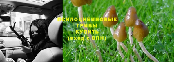 прущий лед Алексеевка