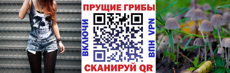 Псилоцибиновые грибы прущие грибы  где можно купить   гидра ссылка  Крым 