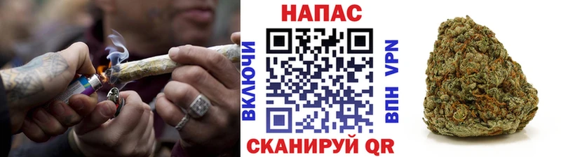 Бошки марихуана семена  Крым 